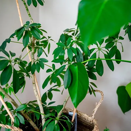 Daire West Coast Hideaway Jakobstad