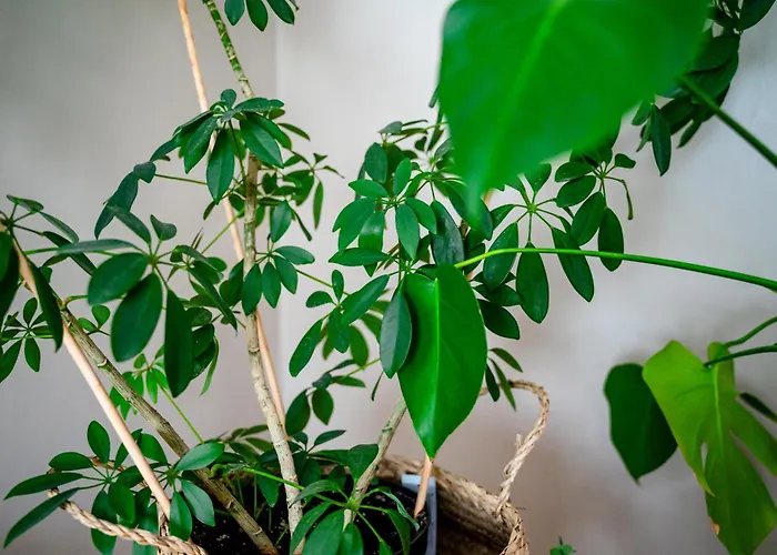 Daire West Coast Hideaway Jakobstad